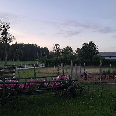 Agroturystyka Malary Pogodki 外观 照片